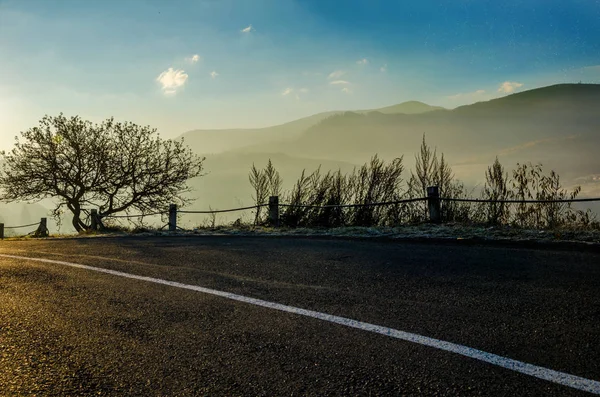 Sonbahar manzara, arka ışık güneşin yol ağacında — Stok fotoğraf