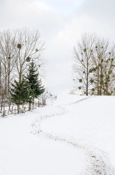 Kış manzarası, karlı dağın zirvesine yolu, — Stok fotoğraf