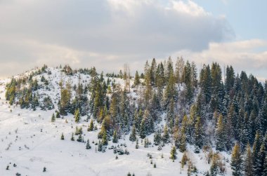 Kış manzarası, Karpat Dağları cov altında üst kısımları