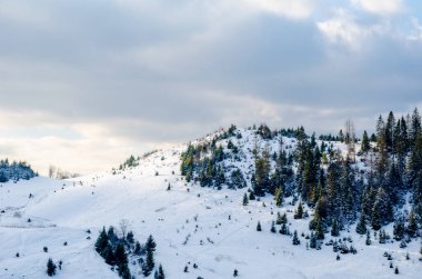 Kış manzarası, Karpat Dağları cov altında üst kısımları