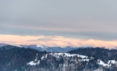 Şafakta dağ manzaralı kış, kar üst dağlar, yeşil ağaçlar bir