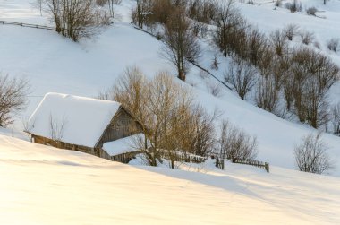 Evin bir yamaca SID kar ve yeşil ağaçları ile kaplı