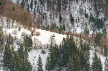 Yeşil ağaç ön planda. Kış mountain view adlı şafak, 