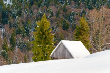 Evin bir yamaca SID kar ve yeşil ağaçları ile kaplı