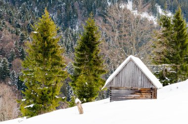 Evin bir yamaca SID kar ve yeşil ağaçları ile kaplı