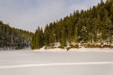 Kış dağ peyzaj. kar alanı ile kaplı ağaçlar ile sn