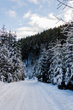 Kış dağ manzarası. Ladin cov giden yol
