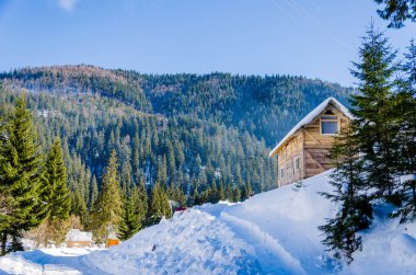 Evin bir yamaca SID kar ve yeşil ağaçları ile kaplı