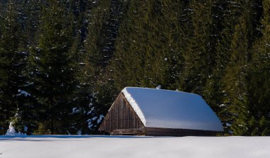 Evin bir yamaca SID kar ve yeşil ağaçları ile kaplı