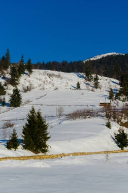 Kış dağ manzarası. backgr karla kaplı ağaçlar