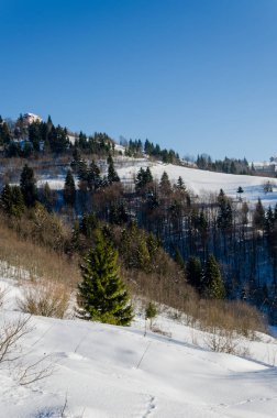 Kış dağ manzarası. backgr karla kaplı ağaçlar