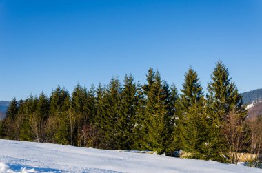 Kış dağ manzarası. backgr karla kaplı ağaçlar
