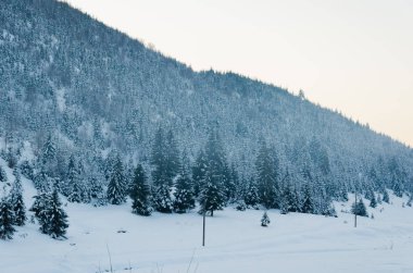 Kış dağ peyzaj. kar alanı ile kaplı ağaçlar ile sn