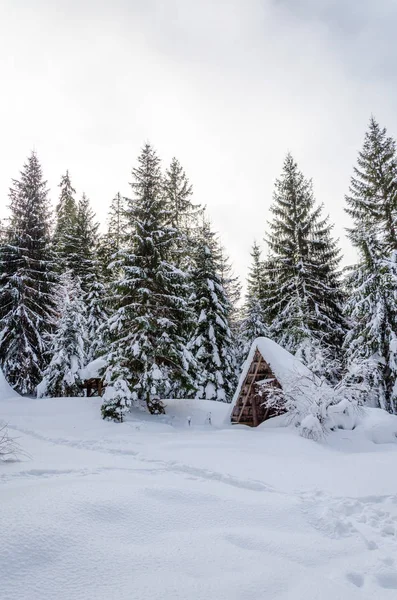 Hus på en kulle täckt med snö och gröna träd på sid — Stockfoto