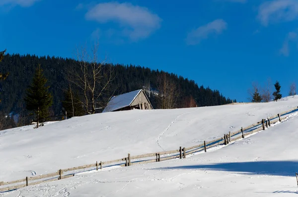 Будинок на схилі пагорба вкритий снігом і зеленими деревами збоку — стокове фото