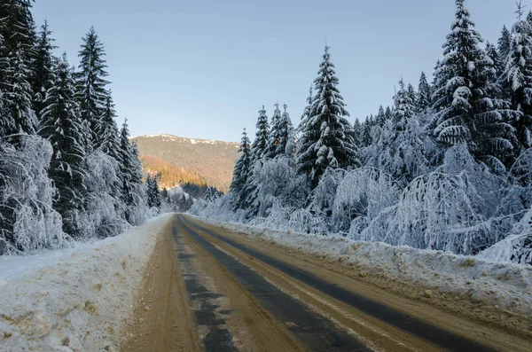 Winter mountain landscape. The road that leads to the spruce cov — Stock Photo, Image