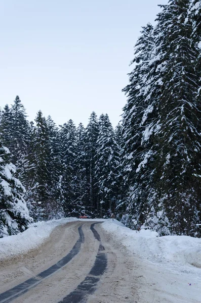 Kış dağ manzarası. Ladin cov giden yol