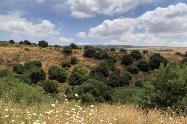 Golan Tepeleri. İsrail Banias Doğa rezerv