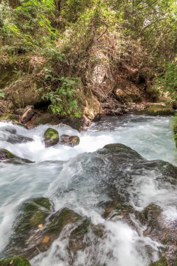 Golan Tepeleri. İsrail Banias Doğa rezerv