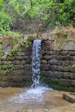 Golan Tepeleri. İsrail Banias Doğa rezerv