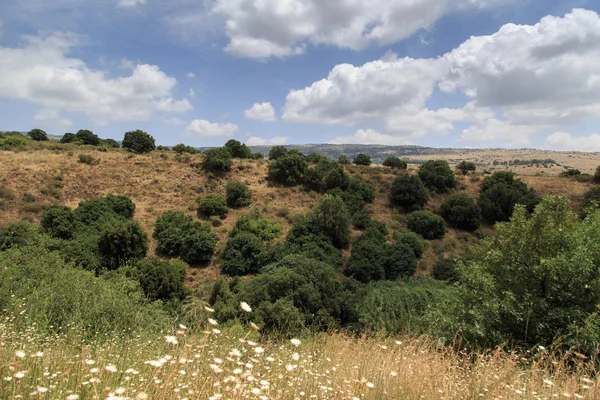 Голанські висоти. Banias заповідника в Ізраїлі — стокове фото