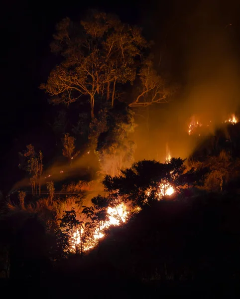 Fire in the woods — Stock Photo, Image