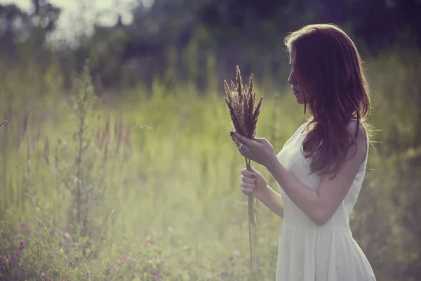 La fille dans les bois — Photo