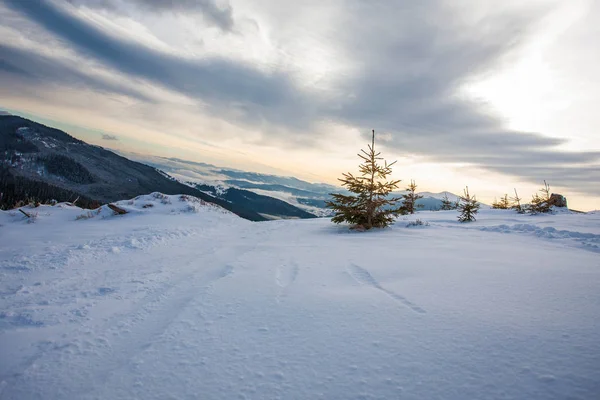 Skigebied in de bergen Stockafbeelding