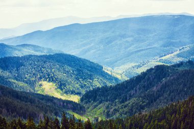 Avrupa'nın dağları. Ukrayna. Karpatlar. Dağ doğa yürüyüşü. Dağlarda seyahat. Dağ manzaraları ve manzara, bitkiler dağlarda turistik rotalar. Gökyüzü ve bulutlar dağ