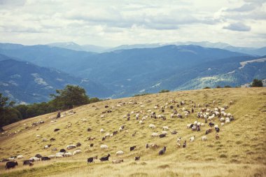 Mountain view, Dağları, hiking panorama. Yaz yürüyüş gezisi. Gökyüzü, bulutlar ve dağlık, doğa yürüyüş parkurları.