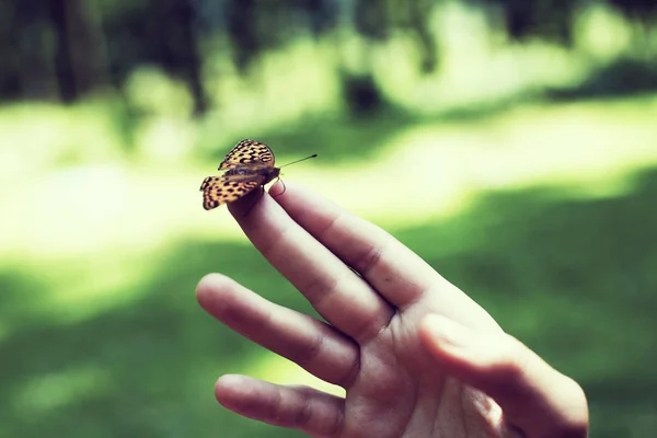 Schöner Schmetterling, der auf der Mädchenhand sitzt. Schmetterling flog ein und setzte sich auf das Mädchen — Stockfoto