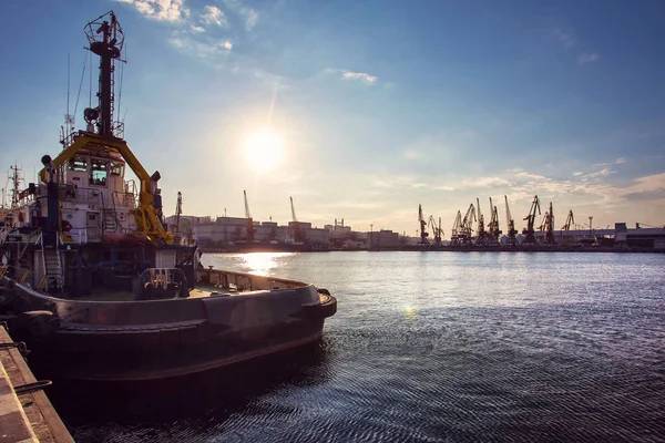 Konteyner kargo gemisi ile çalışma vinç köprü tersane arka plan, yük taşımacılığı, lojistik ithalat ihracat arka plan kavramı içinde. Seaport, günbatımı, gemiler, kargo, musluklar.