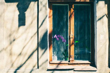 Eski cam kırık boya ile arka plan eski pencere ile vintage tuğla duvar