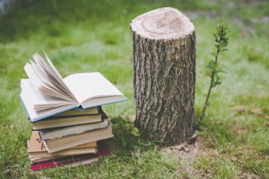 Ağaçlar hakkında bir kitap ahşap elele tutuşun. Tasarım şablonu. Ormansızlaşma kavramı.