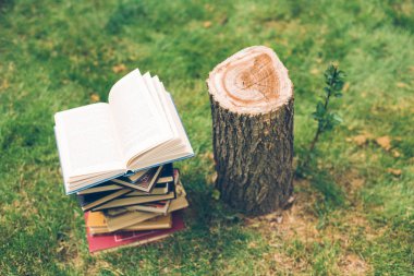 Ağaçlar hakkında bir kitap ahşap elele tutuşun. Tasarım şablonu. Ormansızlaşma kavramı.