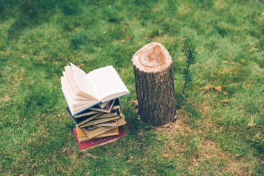 Ağaçlar hakkında bir kitap ahşap elele tutuşun. Tasarım şablonu. Ormansızlaşma kavramı.