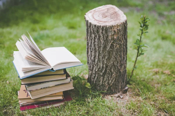 Ağaçlar hakkında bir kitap ahşap elele tutuşun. Tasarım şablonu. Ormansızlaşma kavramı.