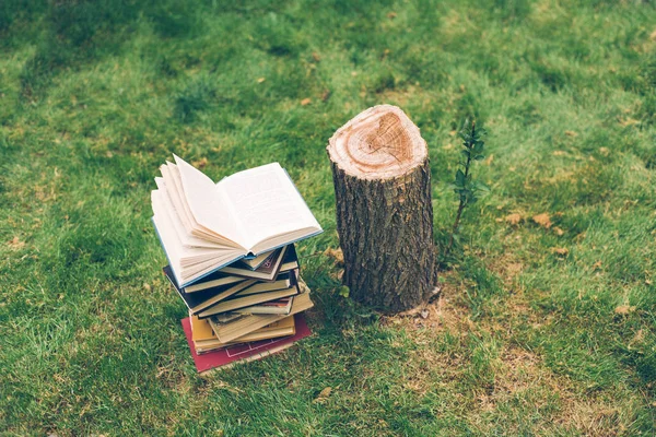 Ağaçlar hakkında bir kitap ahşap elele tutuşun. Tasarım şablonu. Ormansızlaşma kavramı.