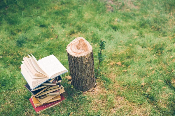Ξύλινα χέρια κρατούν ένα βιβλίο σχετικά με τα δέντρα. Πρότυπο για το σχεδιασμό σας. Έννοια της αποψίλωσης των δασών. — Φωτογραφία Αρχείου
