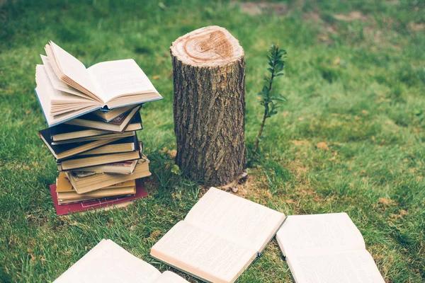 As mãos de madeira mantêm um livro sobre árvores. Modelo para o seu design. Conceito de desflorestação . — Fotografia de Stock