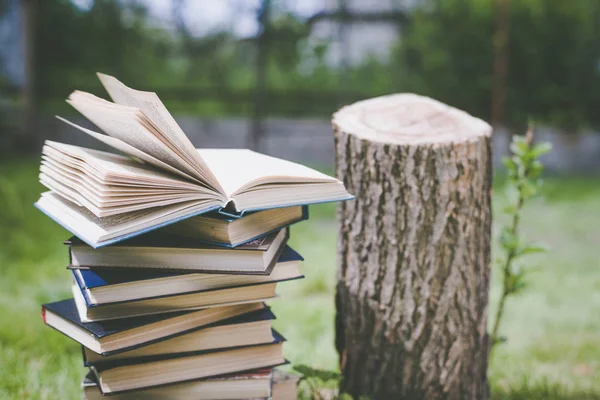 Las manos de madera sostienen un libro sobre árboles. Plantilla para tu diseño. Concepto de deforestación . — Foto de Stock