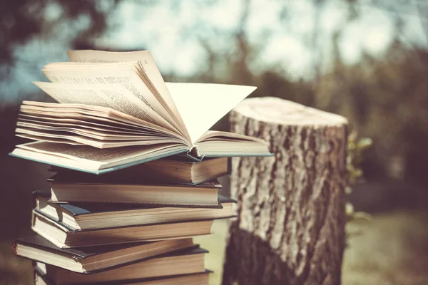 Ağaçlar hakkında bir kitap ahşap elele tutuşun. Tasarım şablonu. Ormansızlaşma kavramı.