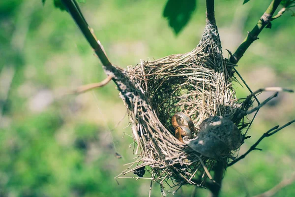 Pair of wedding rings laying in nest. Wedding decoration. Symbol of family, togetherness and love.