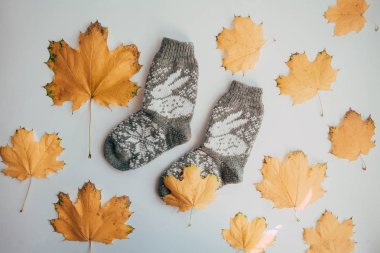 Soğuk sezon için el yapımı örgü çorap. Yukarıdan görüntüleyin. Birçok farklı renk çorap mavi.