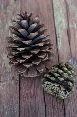 Bir eski ahır kurulu katta iki rustik Pinecones yakın çekim
