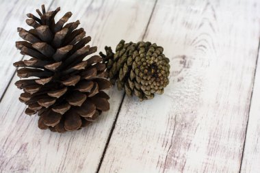 Zemin üzerinde beyaz bir ahır iki rustik Pinecones kurulu