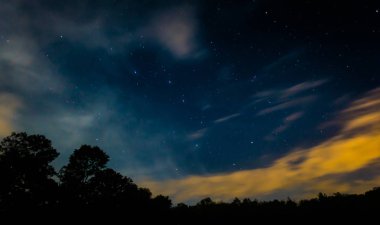 Ağaçlar ve bulut yıldızlı gökyüzü