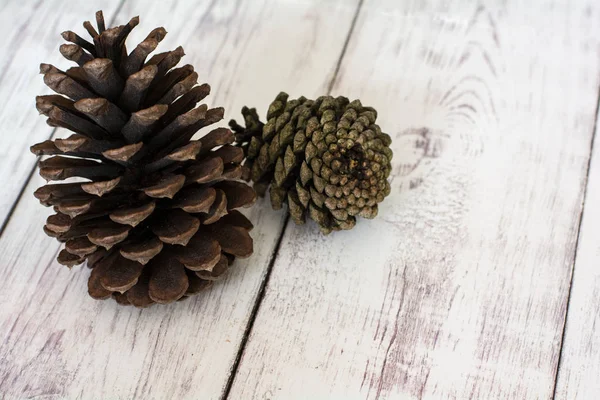 Two Rustic Pinecones on a White Barn Board Floor