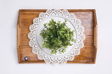 Bitki üzerinde birden çok tepsi düz Lay ana sayfa görünümü