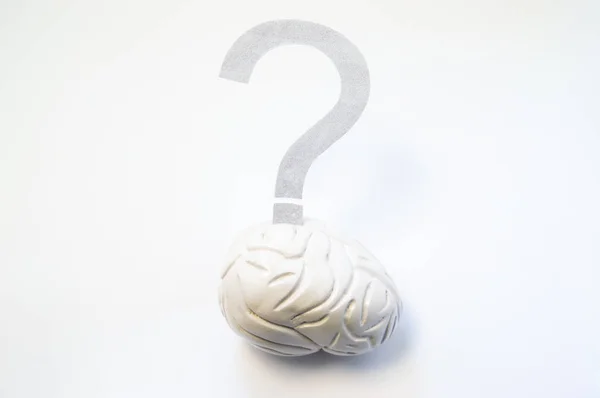 Ερωτηματικό κρέμεται πάνω από το 3d μοντέλο του εγκεφάλου. Έννοια φωτογραφία να υποβάλει δύσκολα θέματα, προβλήματα, λύσεις, παιχνίδια, εργασίες εγκέφαλος, μυαλό και πνευματική δραστηριότητα, προβλήματα με την διάγνωση των νόσων του εγκεφάλου — Φωτογραφία Αρχείου